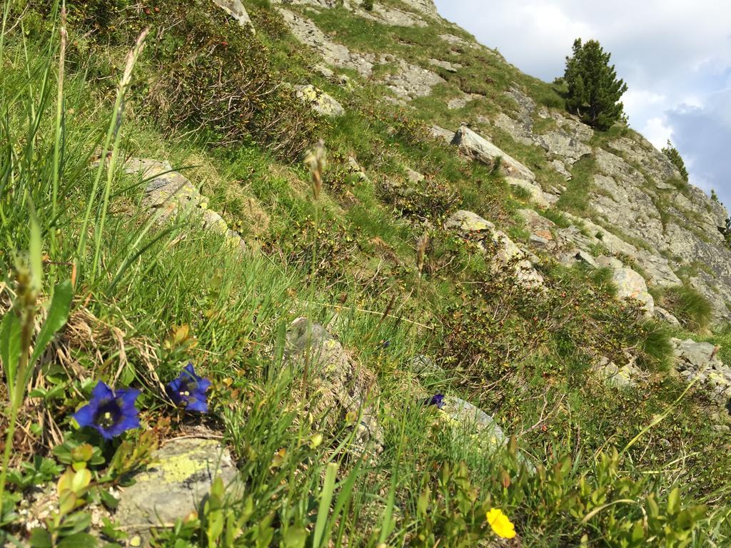 Aparthaus Alpbach Juwel Exterior foto