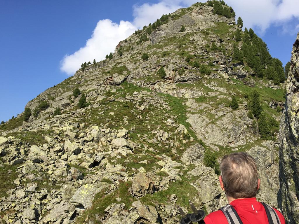 Aparthaus Alpbach Juwel Exterior foto
