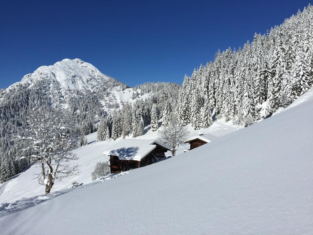 Aparthaus Alpbach Juwel Exterior foto